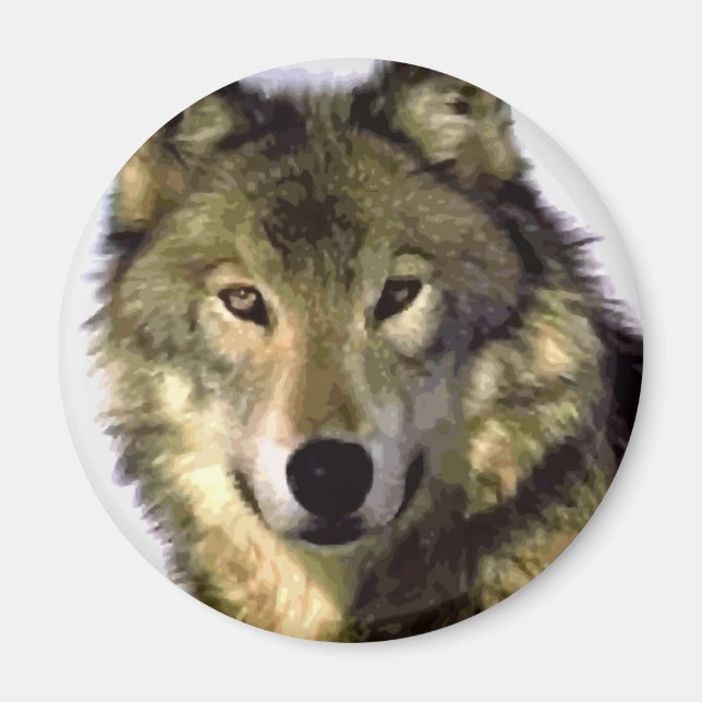 Aimant Loup gris (Devant)