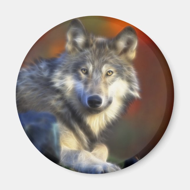 Aimant Loup gris, Espèces menacées Photographie numérique (Devant)