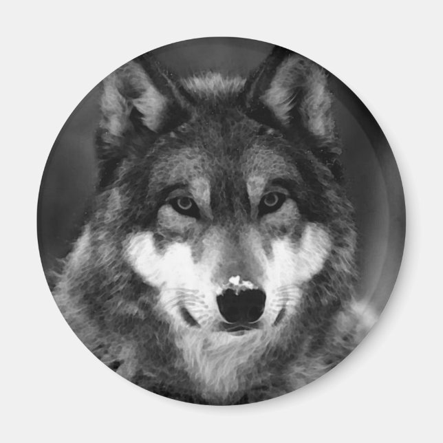 Aimant Loup noir et blanc (Devant)