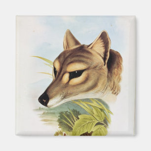 Aimant Loup ou tigre tasmanien
