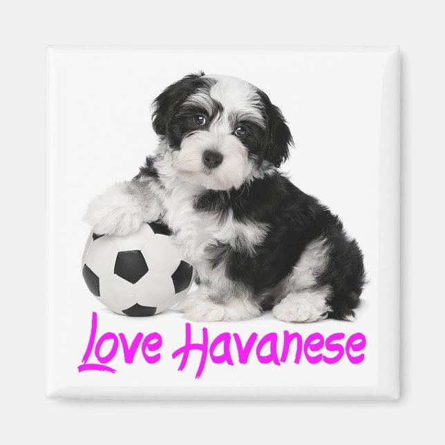 Aimant Love Havanais Chien Chien Chien (Devant)