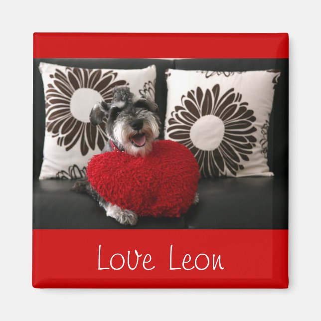 Aimant Love Leon (Devant)