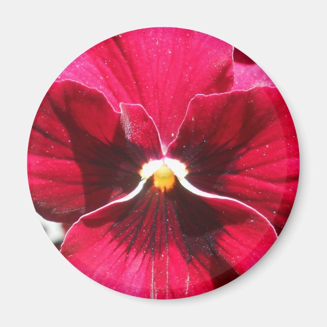 Aimant Lucrezia (Devant)