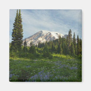 Aimant Lumière du matin sur le mont Rainier