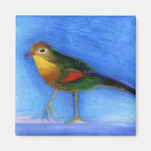 Aimant Lumière nocturne 2012