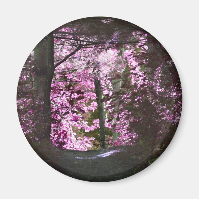 Aimant Lumière sur l'aimant de nature de chemin (Devant)