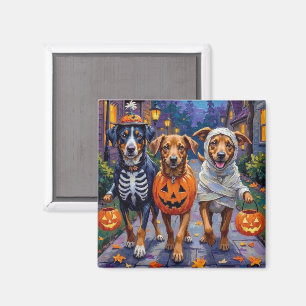 Aimant Lundehund norvégien Halloween Trick-or-Treating
