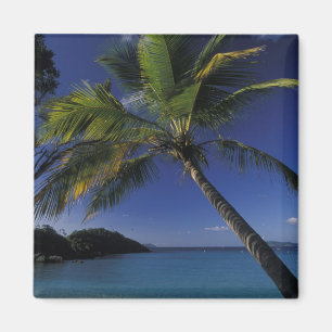 Aimant L'une des meilleures plages du monde ; Baie de Tru