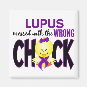 Aimant Lupus sali avec le poussin faux
