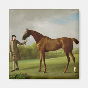Aimant Lustre de George Stubbs  , tenu par un marié,