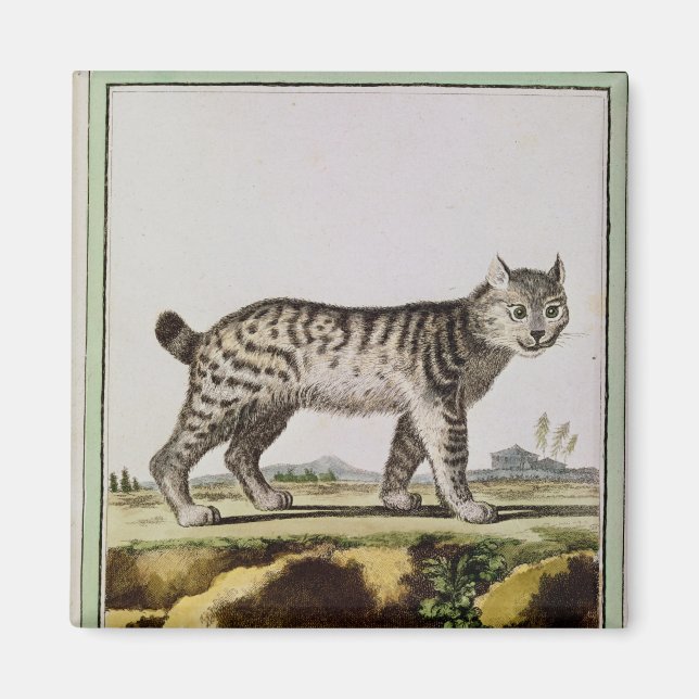 Aimant Lynx canadienne (Devant)