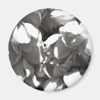 Aimant lys de yucca noir et blanc
