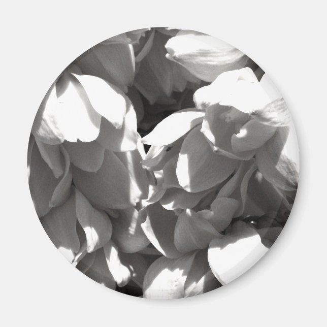 Aimant lys de yucca noir et blanc (Devant)