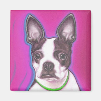 Aimant M. Pickles l'aimant