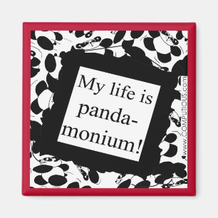Aimant Ma vie est panda-monium