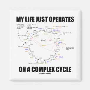 Aimant Ma vie opère juste un cycle complexe (Krebs)