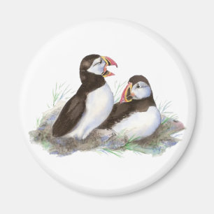 Aimant Macareux mignons, oiseau d'océan, plage, nature