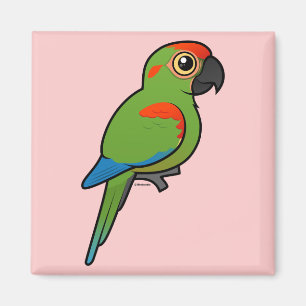 Aimant Macaw à tête rouge