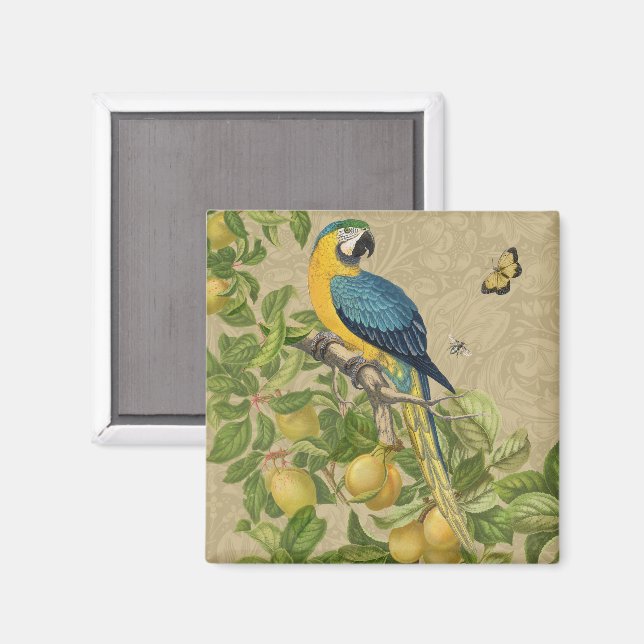 Aimant Macaw Blue Jaune Tropical Jungle Antique (Recto/Verso)
