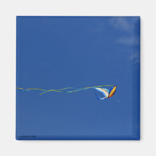Aimant Macaw Kite