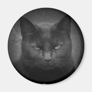 Aimant Mad Black cat projecteur