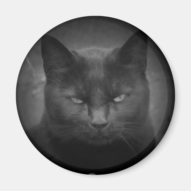 Aimant Mad Black cat projecteur (Devant)