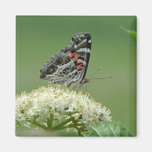 Aimant Madame peinte Butterfly