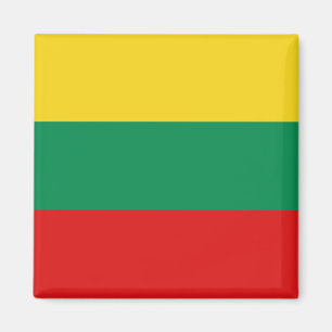 Aimant Magazine du drapeau lituanien