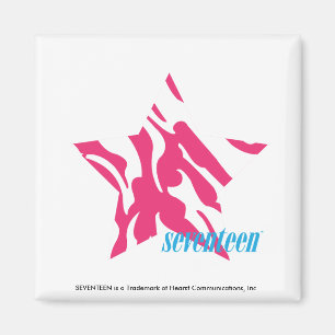 Aimant Magenta 4 de zèbre