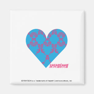 Aimant Magenta-Aqua 3 de damassé