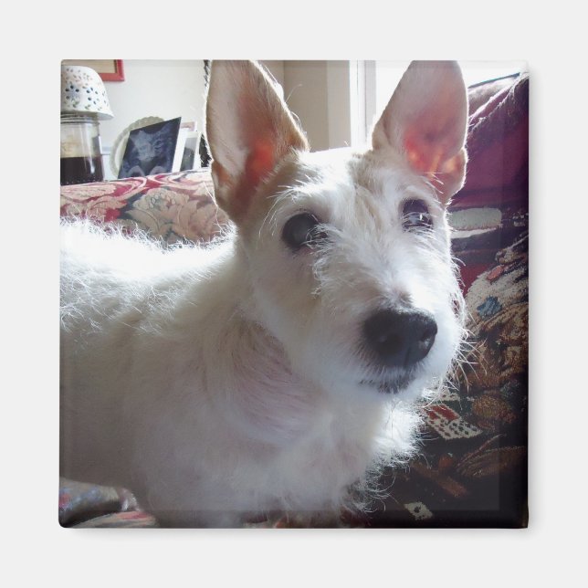 Aimant Maggie Mae (Devant)