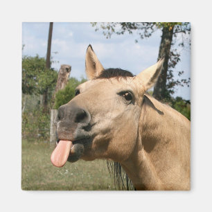 Aimant magie de la fraise