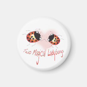 Aimant magique de deux coccinelles