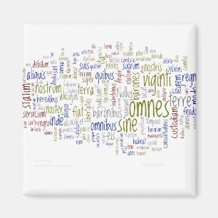 Aimant Magna Carta (latin)