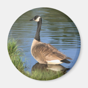Aimant Magnat d'art d'animaux d'oie du Canada