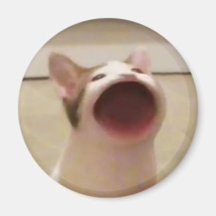 Aimant Magnat de chat