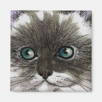 Magnat de chat bleu