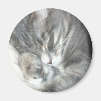 Aimant Magnat de chat couché