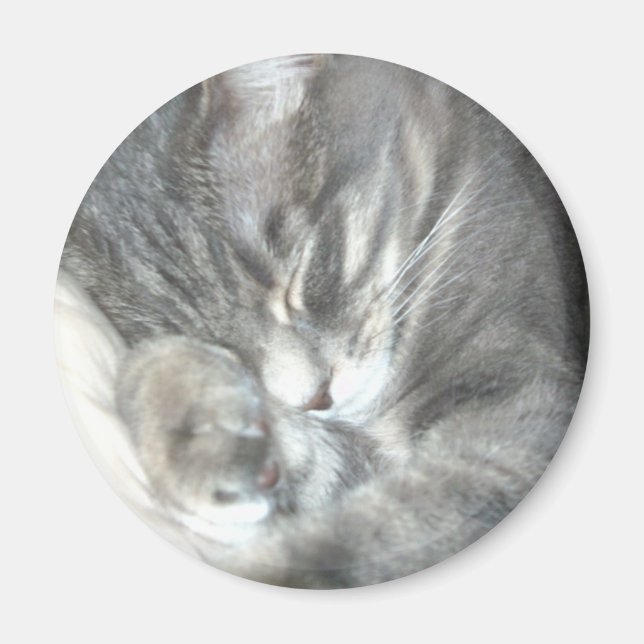 Aimant Magnat de chat couché (Devant)