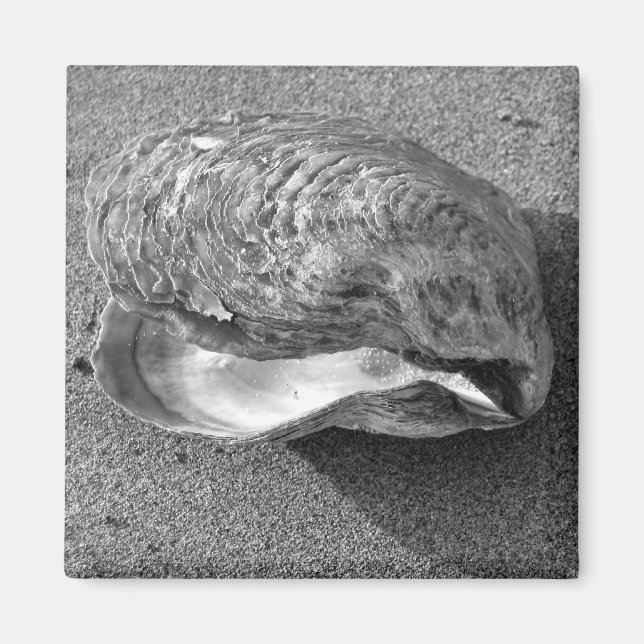 Aimant Magnat de plage de sable de coquillage de moules (Devant)