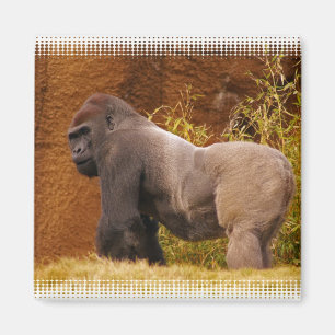 Aimant Magnat photo Silverback Gorilla