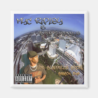 Aimant Magnat S1 de l'atelier de slappelle