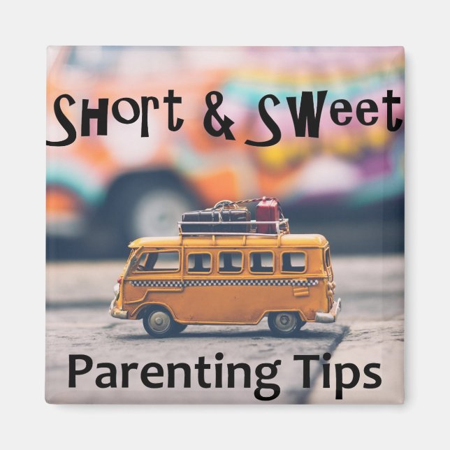 Aimant Magnat SSPT (Devant)