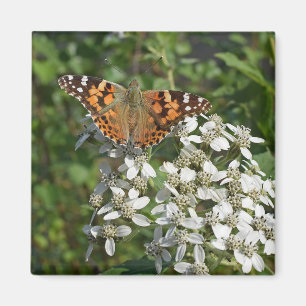 Aimant Magnét aimanté Papillon Orange Beau & Fleurs Blanc