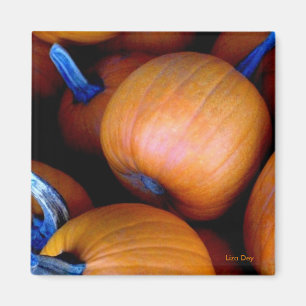Aimant 'Magnet des Citrouilles d'automne