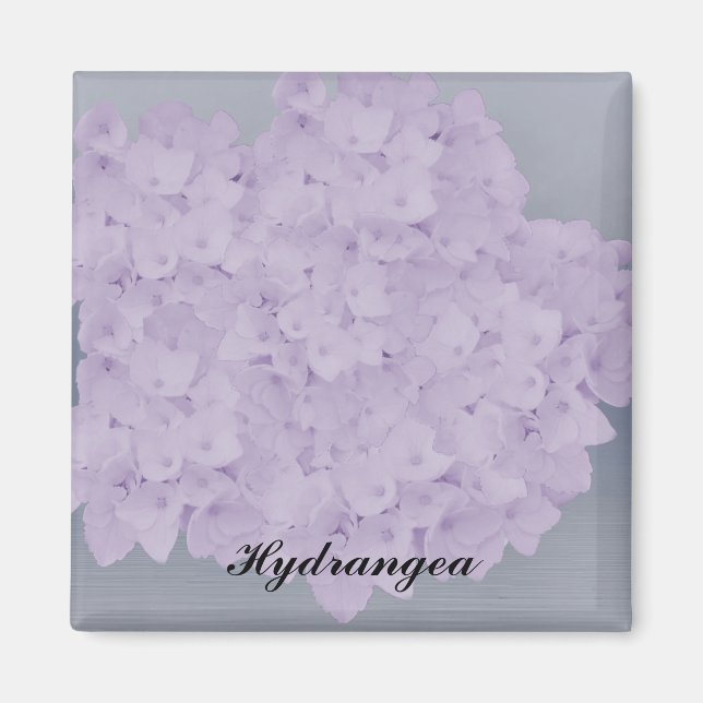 Aimant Magnét Hydrangea Lavande Charmant (Devant)