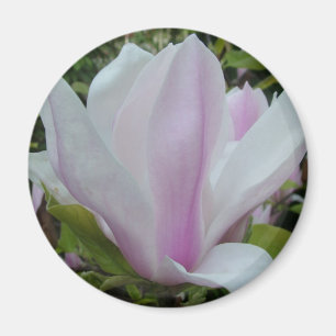 Aimant magnolia flower