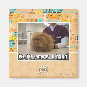 Aimant Main d'ur de remoov de PLZ