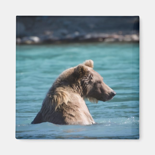 Aimant Majestic Alaskan Brown Bear (Devant)