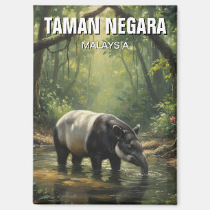 Aimant Malaisie Taman Negara Malayan Tapir